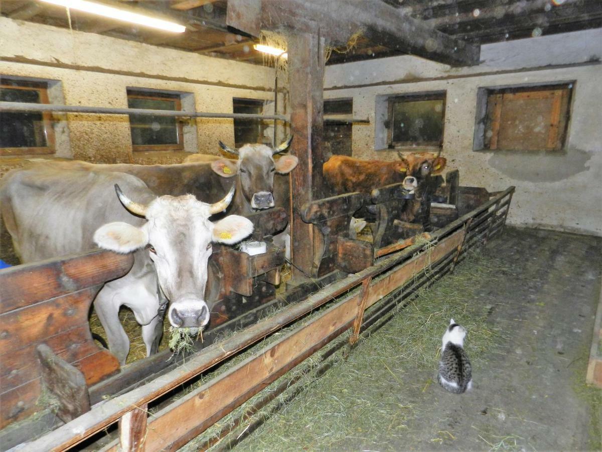ルゾーンGedrarzerhofアパートメント エクステリア 写真